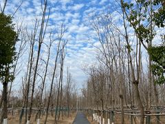 -云碧峰国家森林公园