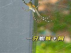 -观澜湖生态运动公社