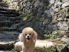 -北京鹫峰国家森林公园