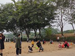 -东莞植物园