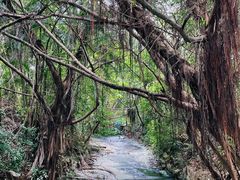 -燕晗山郊野公园