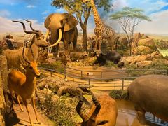 -陕西自然博物馆