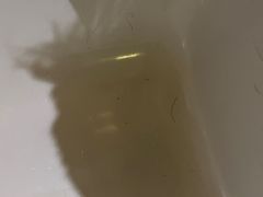 -天津君隆威斯汀酒店