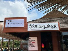 -亚龙湾热带天堂森林公园