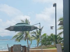 -雾山韩式烤肉·海南糟粕&椰子鸡火锅·海景餐厅(三亚绿发山海天JW万豪酒店)