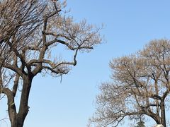 -西北轻工批发市场