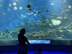 -海合安武汉极地海洋公园