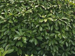 -苏宁易购(上海沪太路二店)