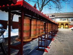 -护国法轮寺