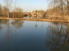 -西安浐灞国家湿地公园