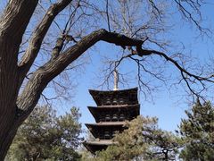 -北京世界公园