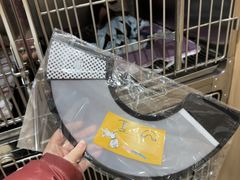 -米苏动物医院·犬猫专科·骨科外科内窥镜