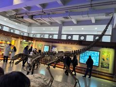 -自贡恐龙博物馆