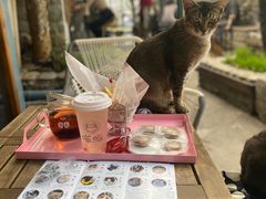 -喵屿·大理花园猫咖