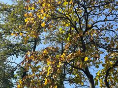 -南京民俗博物馆(甘熙故居)