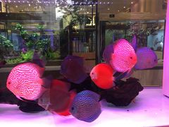 -青石桥市场北1-27号