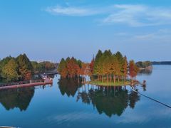 -贡湖湾湿地公园