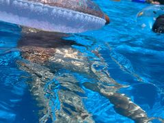 -上海玛雅海滩水公园