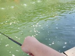 -DGE季风钓虾营地·团建·聚会