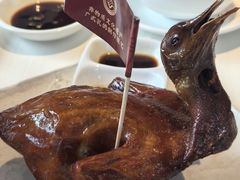 -侨美·唐荔园·40年地道粤菜