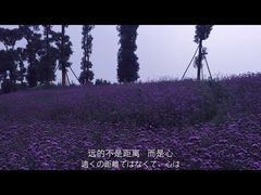 -秀丽东方