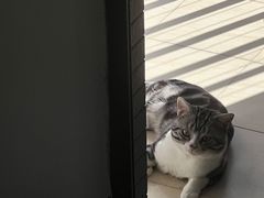 -超级猩猩健身·团课(高新园大冲商务中心二店)