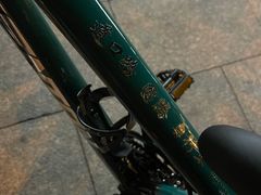 -道路口单车爱瓦士dahon大行