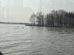 -溱湖国家湿地公园