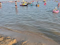 -碧海金沙