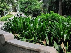 -深圳市人民医院(留医部)