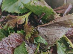 -陈大锅·岳阳鱼馆·地道岳阳菜(美食街店)