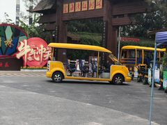 -北海金海湾红树林生态旅游区