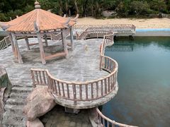 -广东惠东海龟国家级自然保护区