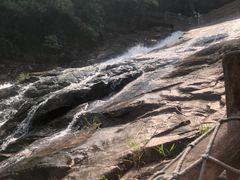 -广州白江湖森林公园