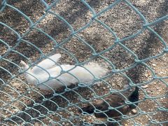 -南京金牛湖风景区