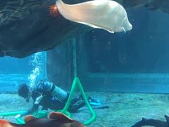 -华夏文旅海洋公园