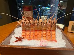 -月龍吟(朝龙汇店)