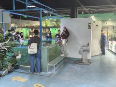 -上海大自然野生昆虫馆(东方明珠·爬宠昆虫探索中心)