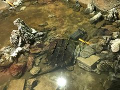 -灵玲国际马戏城