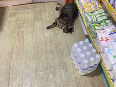 -赵家牛肉砂锅(台西三路店)