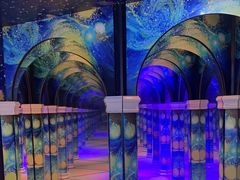 -天津梵高星空艺术馆(天河城旗舰店)