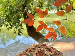 -超港·蛋糕面包(包河万达店)