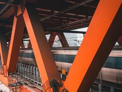 -WFC会仙楼观景台