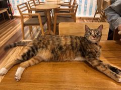 -猫的天空之城概念书店(杭州南宋御街店)