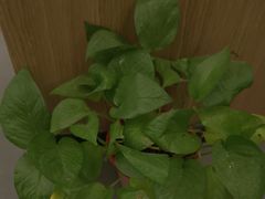 -耳湾躺式采耳SPA馆(保利五月花店)
