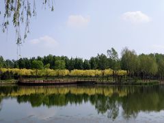 -东郊湿地公园