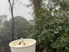 -茶颜悦色(岳麓山顶店)