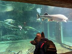 -华夏文旅海洋公园