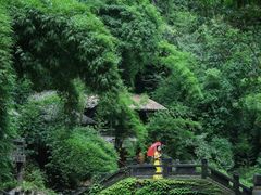 -三峡人家风景区
