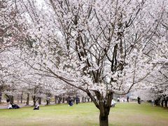 -同济大学(嘉定校区)